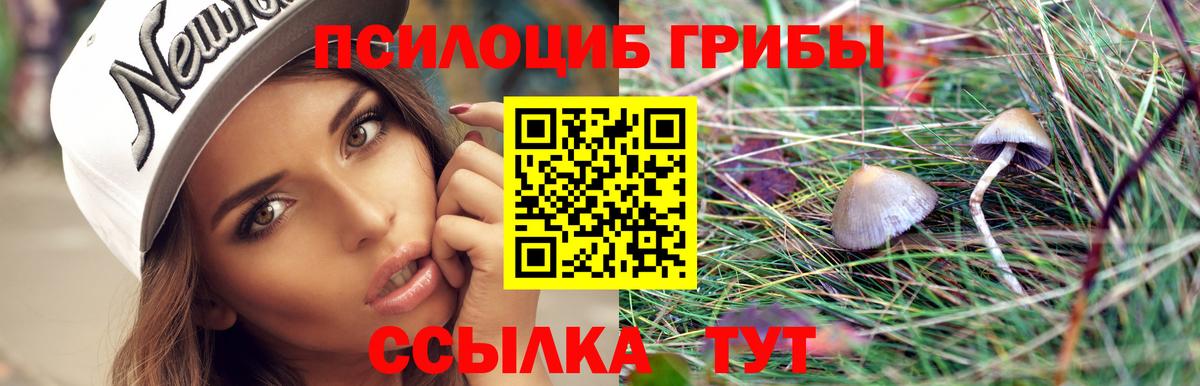 Галлюциногенные грибы прущие грибы  наркошоп  Павлово  Вход с VPN 