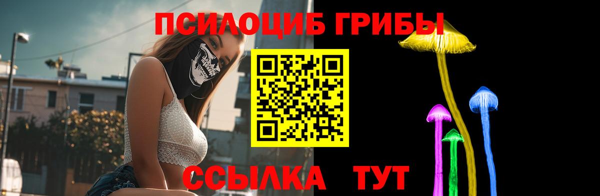 Галлюциногенные грибы Magic Shrooms Павлово